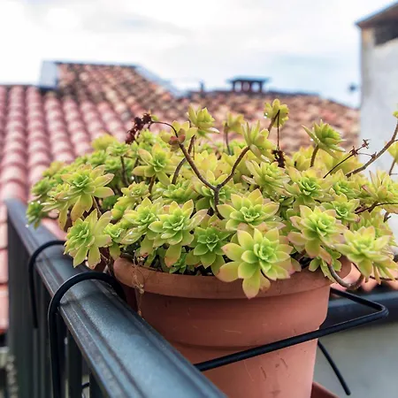 Cielo By Quokka 360 - In The Centre Of Appartamento