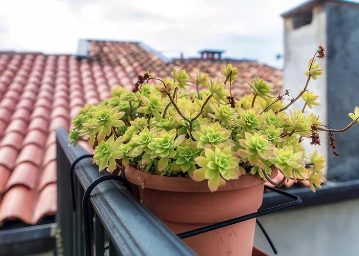 Cielo By Quokka 360 - In The Centre Of Apartmán